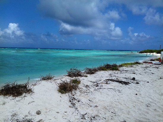 Centro Comercial North End